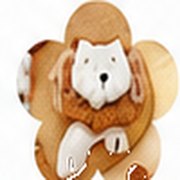Lion charm