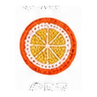 Orange Slice charm